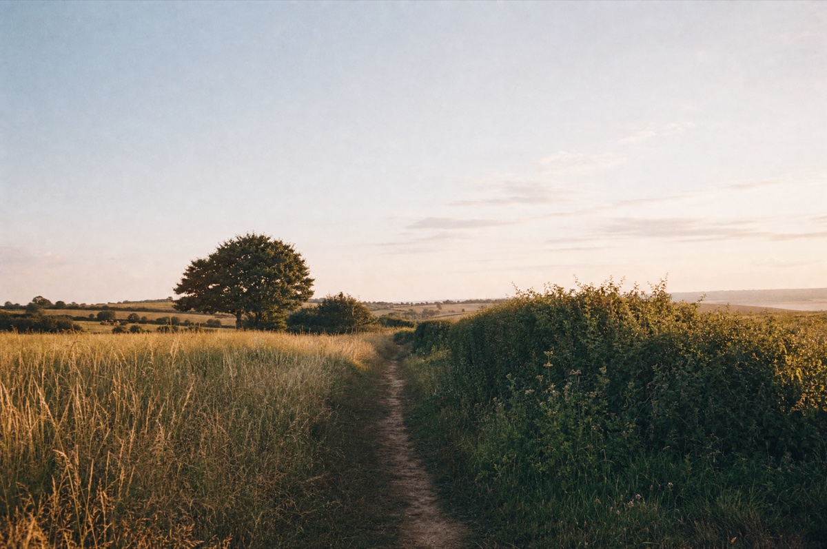 Ein Weg durch ruhige Landschaft